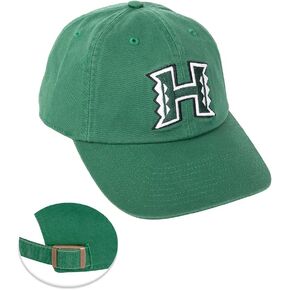 Desert Cactus University of Hawaii Baseball Hat Rainbow Warriors UH Brimmed Embroirderd Hats Cap Adjustable Cloth Strap Adult (Style A)