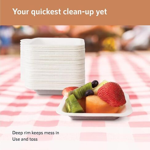 Upper Midland Products Small Paper Plates 4 Inch - 4 Inch Paper Dessert Plates Biodegradable | White (White - 100) in Kuwait