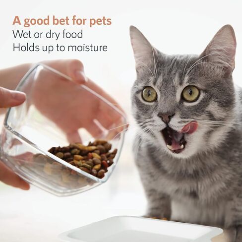 Upper Midland Products Small Paper Plates 4 Inch - 4 Inch Paper Dessert Plates Biodegradable | White (White - 100) in Kuwait