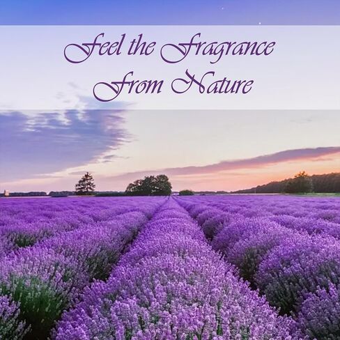 أكياس اللافندر، أكياس اللافندر المعطرة المجففة للأدراج وخزانة الملابس، أكياس عطرية للأدراج والخزائن، 20 عبوة من العطور المنزلية طويلة الأمد in Kuwait