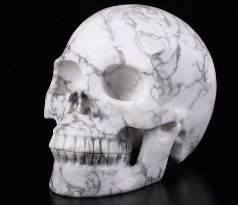 جمجمة كريستال هاوليت مقاس 5.0 بوصة، منحوتة يدويًا من الأحجار الكريمة للفنون الجميلة، تمثال حجر شفاء الريكي. in Kuwait