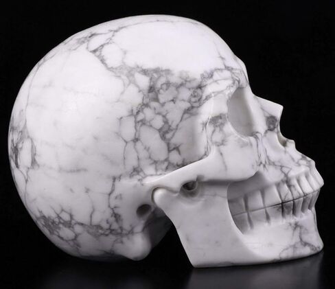 جمجمة كريستال هاوليت مقاس 5.0 بوصة، منحوتة يدويًا من الأحجار الكريمة للفنون الجميلة، تمثال حجر شفاء الريكي. in Kuwait