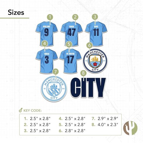Manchester City Stickers Man City MCFC Sheet Vinyl Football Soccer Premier League Decal Laptop Water Bottle Car Scrapbook (Type 2-4 Player Sheet) in Saudi Arabia