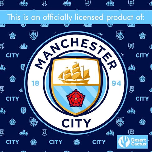 Manchester City Stickers Man City MCFC Sheet Vinyl Football Soccer Premier League Decal Laptop Water Bottle Car Scrapbook (Type 2-4 Player Sheet) in Saudi Arabia