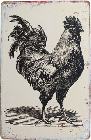 Warning This Property is Protected by Highly Trained Chickens Funny Vintage Metal Tin Sign Rural Retro Rooster Plaque Farm Home Wall Decor (Warning Chickens) in Saudi Arabia