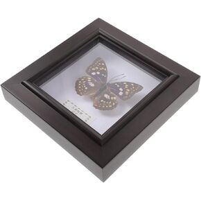 Real Framed Butterfly Specimen Handmade Butterfly Decor Wall Hanging Shadow Box Display for Home Decoration Butterfly Picture Frame