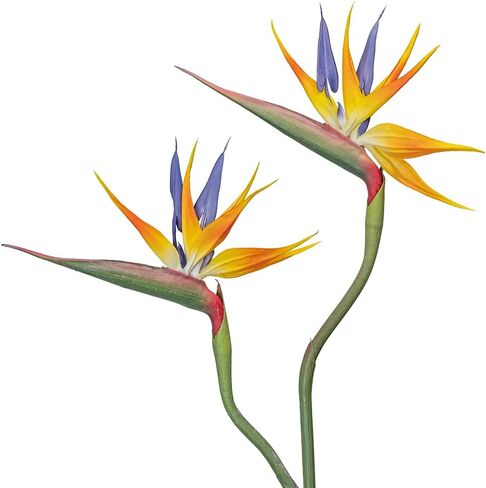 Artificial Flowers Bird of Paradise 37'' Large Latex Fake Greenery Plants Long Stem Red Plants 2Pcs for Home,Living Room,Bedroom,Dining Table(Orange 2pcs) in Saudi Arabia