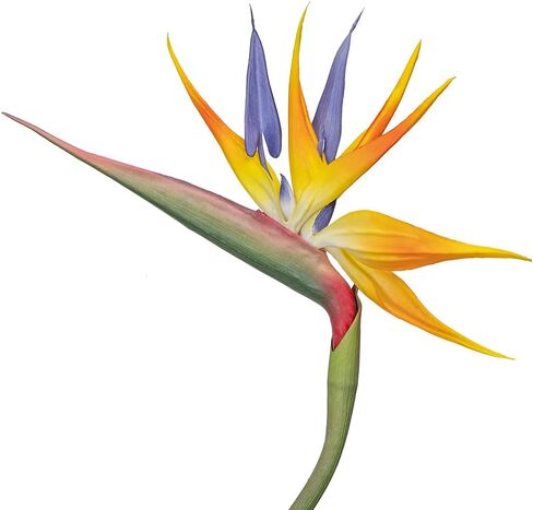 Artificial Flowers Bird of Paradise 37'' Large Latex Fake Greenery Plants Long Stem Red Plants 2Pcs for Home,Living Room,Bedroom,Dining Table(Orange 2pcs) in Saudi Arabia