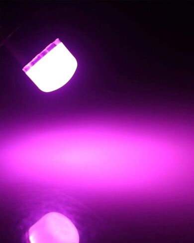Keiurot GE 44 47 755 756 1893 1895 1847 لمبة BA9S DC/AC 6.3V 6V لمبة LED حربة لمبات Pinball Led لمبات Pinball Machine Light Bulb، حزمة من 10 (أبيض دافئ) in Saudi Arabia