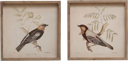 Creative Co-Op 14 Inches Square Wood Framed Glass Bird Designs, Multicolor, Set of 2 Wall Décor in Saudi Arabia