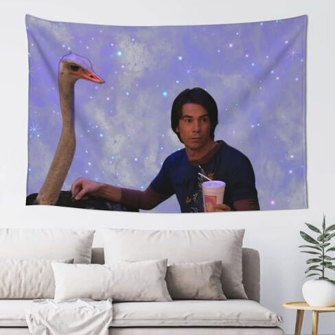 WUGXCOLL Spencer Shay Ostrich Tapestry Boutique Decorative Wall Tapestrys Vintage Aesthetic Micro Fiber Peach Home Decoration 60x40inch in Saudi Arabia