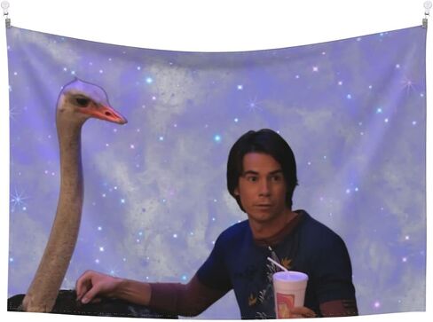 WUGXCOLL Spencer Shay Ostrich Tapestry Boutique Decorative Wall Tapestrys Vintage Aesthetic Micro Fiber Peach Home Decoration 60x40inch in Saudi Arabia