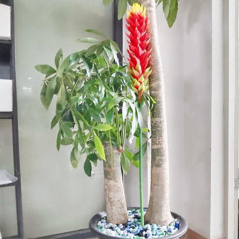 XZJMY 40.5in.Bromeliad Artificial Flower Silk Flowers Tropical Imitation Plant Flower Bouquets for Kitchen Shelf Room Decoration,Flower Length 16 inch (1Pcs, Red) in Saudi Arabia