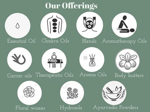 Pure Malkangani (Malkangni/Jyotishmati) Oil (Celastrus paniculatus) with Glass Dropper Cold Pressed 100ml (3.38 oz) in Saudi Arabia