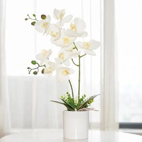 Ohmywor Artificial Orchid Flower Potted, 16.9" White Orchid in Pot Faux Orchid Plant with Orchid Stem Artificial Phalaenopsis Orchid in Plastic Pot for Home Table Centerpiece Wedding Decoration