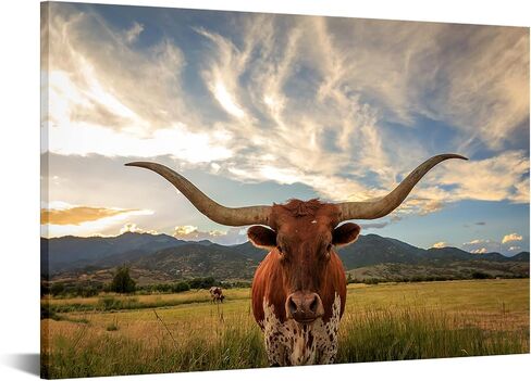 KREATIVE ARTS Black and White Texas Animal Canvas Wall Art Highland Cattle with Long Horns Picture Longhorn in Sunset Farm Painting for Home Decor Modern Living Room Decorations 47x32inch in Saudi Arabia