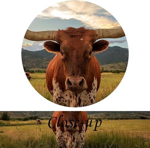 KREATIVE ARTS Black and White Texas Animal Canvas Wall Art Highland Cattle with Long Horns Picture Longhorn in Sunset Farm Painting for Home Decor Modern Living Room Decorations 47x32inch in Saudi Arabia