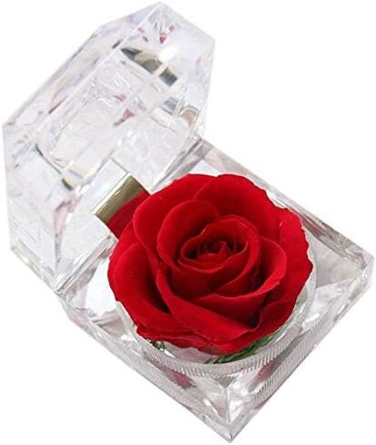 Enchanted Rose in Acrylic Crystal Ring Box, Handmade Real Preserved Fresh Flower Eternity Rose Romantic Gift for Her Mother's Day Surprise Mom Wife (Red) in Saudi Arabia