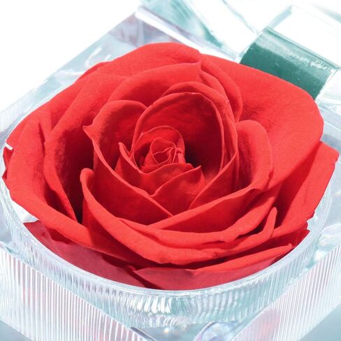 Enchanted Rose in Acrylic Crystal Ring Box, Handmade Real Preserved Fresh Flower Eternity Rose Romantic Gift for Her Mother's Day Surprise Mom Wife (Red) in Saudi Arabia