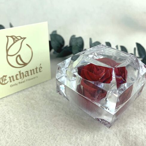 Enchanted Rose in Acrylic Crystal Ring Box, Handmade Real Preserved Fresh Flower Eternity Rose Romantic Gift for Her Mother's Day Surprise Mom Wife (Red) in Saudi Arabia