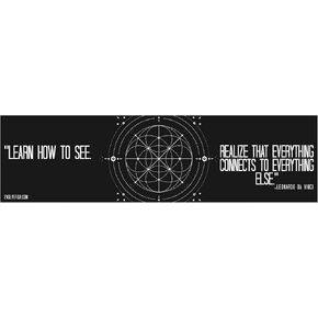 EvolveFISH Learn How to See Everything Connects to Everything Else Bumper Sticker - [11" x 3"]
