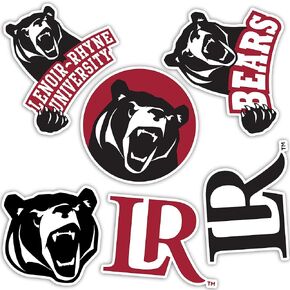 Desert Cactus Lenoir-Rhyne University Stickers Bears LRU Vinyl Decals Laptop Water Bottle Car Scrapbook13.43x10.98 T2 (Type 2)