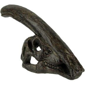 Things2Die4 Parasaurolophus Dinosaur Head Fossil Resin Replica Statue 8 Inches Long