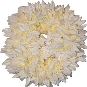 CREATIVE ZONE Artificial Mogra Rubber Band Plastic Flower for Women Pack of 1 White Gajra(35 Grams)