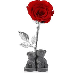 Forever Red Rose and Preserved Rose with Flocked Bears,Mothers Day Rose Gifts for Mom,Real Roses Preserved Flowers for Mothers Day Delivery Prime Birthday Gifts for Women Grandma Wife Sister (Gold)