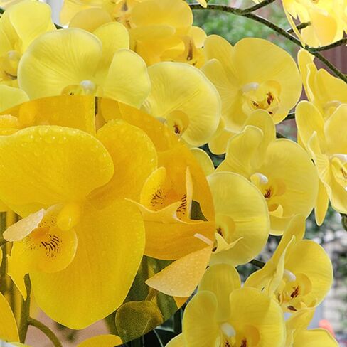 6 قطع من زهور فالاينوبسيس الاصطناعية من FagusHome مقاس 32 بوصة من زهور الأوركيد الاصطناعية ونباتات جذعية وزهور وهمية لديكور المنزل (أصفر) in Kuwait