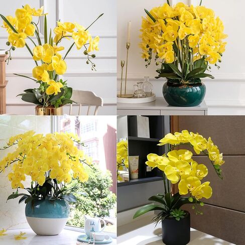 6 قطع من زهور فالاينوبسيس الاصطناعية من FagusHome مقاس 32 بوصة من زهور الأوركيد الاصطناعية ونباتات جذعية وزهور وهمية لديكور المنزل (أصفر) in Kuwait