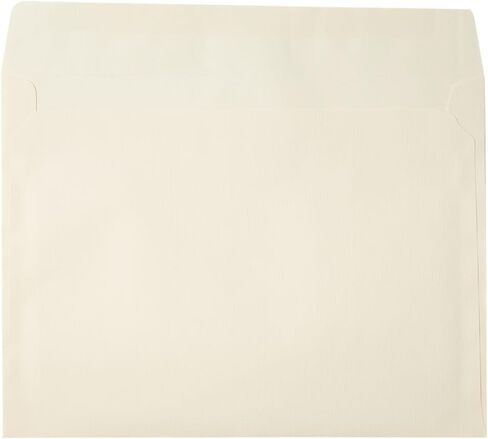 LUXPaper 9 x 12 Booklet Envelopes | Bright White | 28lb. Text | 250 Qty in Saudi Arabia