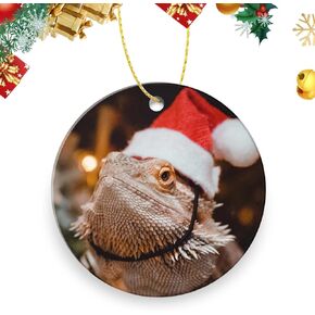 Double Sided Ceramic Ornament Xmas Tree Christmas Decor 3 inch，A Lizard with A Hat