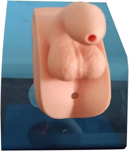 2Pcs Catheterization Model Male Female, Catheter Model Internal External Genital PVC Anatomy Model Nursing Practice for Medical Clinical Teaching and Practical Training in Saudi Arabia