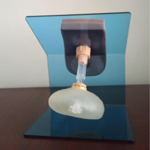 2Pcs Catheterization Model Male Female, Catheter Model Internal External Genital PVC Anatomy Model Nursing Practice for Medical Clinical Teaching and Practical Training in Saudi Arabia