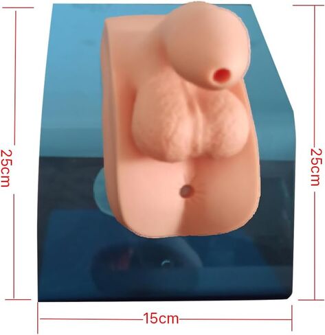 2Pcs Catheterization Model Male Female, Catheter Model Internal External Genital PVC Anatomy Model Nursing Practice for Medical Clinical Teaching and Practical Training in Saudi Arabia