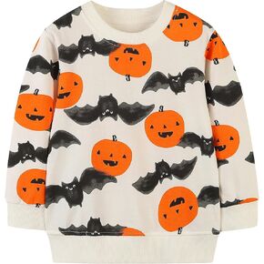 AIWUHE Toddler Sweatshirt Boys Girls Crewneck Pullover Tops Blouse Long Sleeve Cotton T-Shirt Fall Winter Clothes 2-6Y