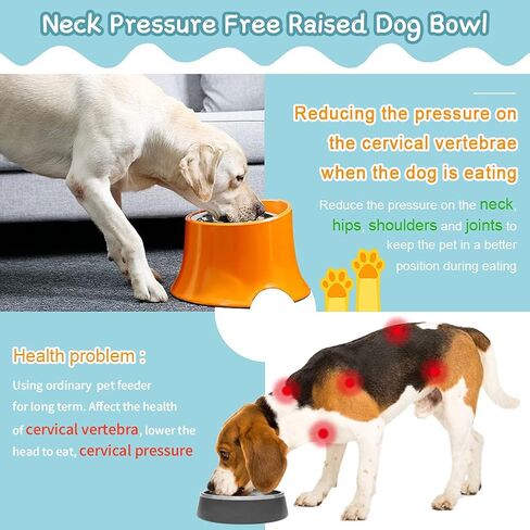 Super Design Elevated Dog Bowl Raised Dog Feeder for Food and Water, Non Spill Edges & Non Skid Sturdy Melamine Stand, Reduce Neck Stress, Less Regurgitating and Vomiting 1 Cup Orange in Kuwait