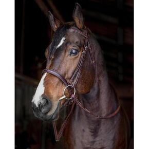 Horse Bridles - Havana Brown English Leather Fancy Stitch