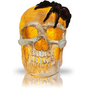 Halloween Skull Lights with Snake, Halloween Themed Skeleton Decor Lights, Battery Operated Skull Statues Ornaments for Halloween Party Horror Decoration Indoor Haunted House Decorations