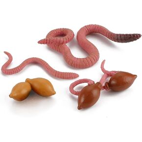 Life Cycle of Duck Figurines Animals Figurines Set Duck Toys Realistic Farm Animals Preschool Animals Figures Eduactional Project Diorama Model Toy for Kids in Kuwait