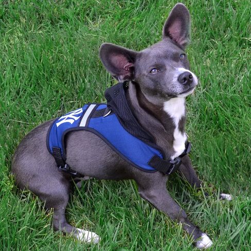 Pets First New Orleans Saints Harness, Medium in Saudi Arabia