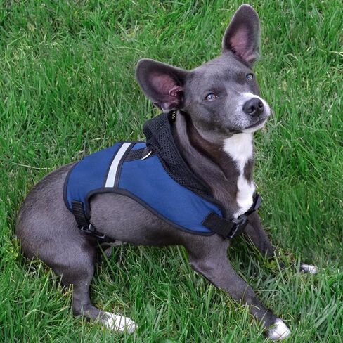 Pets First New Orleans Saints Harness, Medium in Saudi Arabia