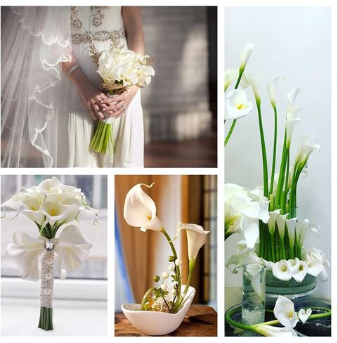 22pcs 13.4 Inch Peacock Blue Lataex Real Touch Artificial Calla Lily Flowers, for Home Decor for Spring Flowers, Home Kitchen, Wedding Decorations, and centerpieces. in Kuwait