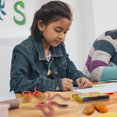 Life Cycle of Duck Figurines Animals Figurines Set Duck Toys Realistic Farm Animals Preschool Animals Figures Eduactional Project Diorama Model Toy for Kids in Kuwait