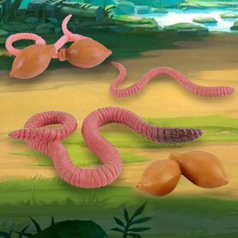 Life Cycle of Duck Figurines Animals Figurines Set Duck Toys Realistic Farm Animals Preschool Animals Figures Eduactional Project Diorama Model Toy for Kids in Kuwait