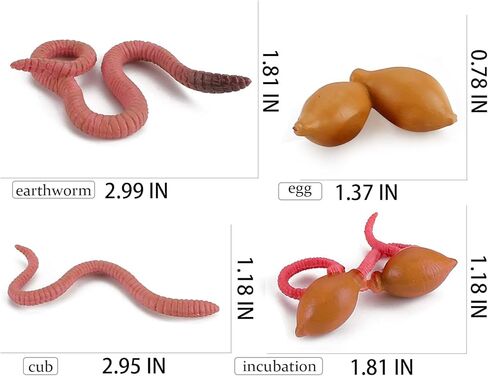 Life Cycle of Duck Figurines Animals Figurines Set Duck Toys Realistic Farm Animals Preschool Animals Figures Eduactional Project Diorama Model Toy for Kids in Kuwait