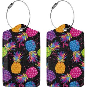 BLOCIT 2 عبوة من علامات الأمتعة مع غطاء للخصوصية - حلقة من الفولاذ المقاوم للصدأ، بطاقة عنوان - حقيبة سفر لطيفة لحقائب السفر للنساء والرجال والأطفال والبنات (الأناناس الملون) in Kuwait