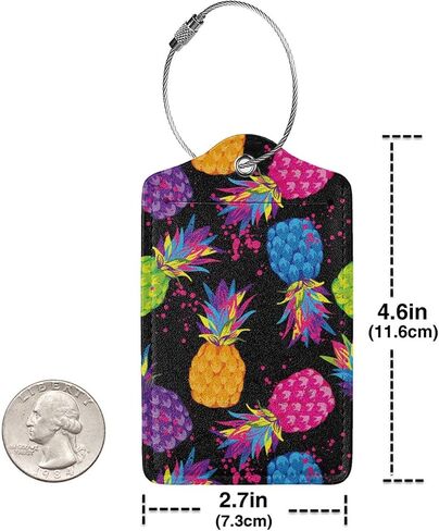 BLOCIT 2 عبوة من علامات الأمتعة مع غطاء للخصوصية - حلقة من الفولاذ المقاوم للصدأ، بطاقة عنوان - حقيبة سفر لطيفة لحقائب السفر للنساء والرجال والأطفال والبنات (الأناناس الملون) in Kuwait