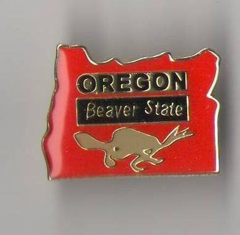 State Shaped Pin, Hat, Tie, Lapel, Etc. (Pick Any State) in Saudi Arabia